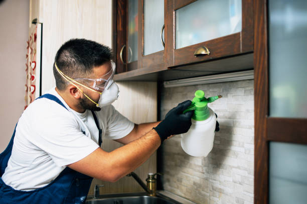 Best Residential Pest Control  in Bel Air, MD