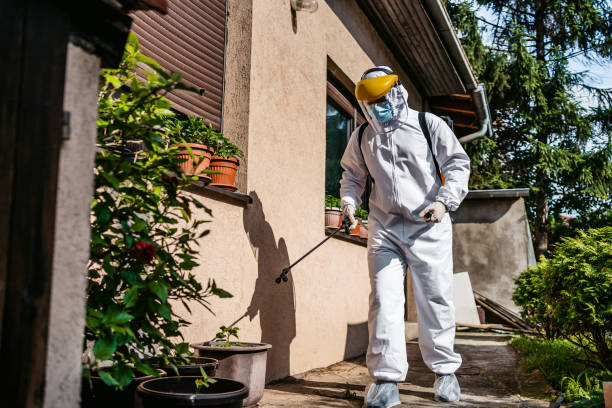 Best Pest Control Near Me  in Bel Air, MD