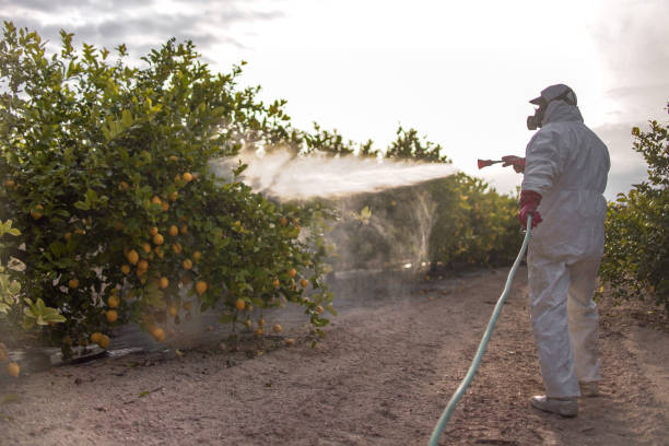 Pest Control Cost in Bel Air, MD